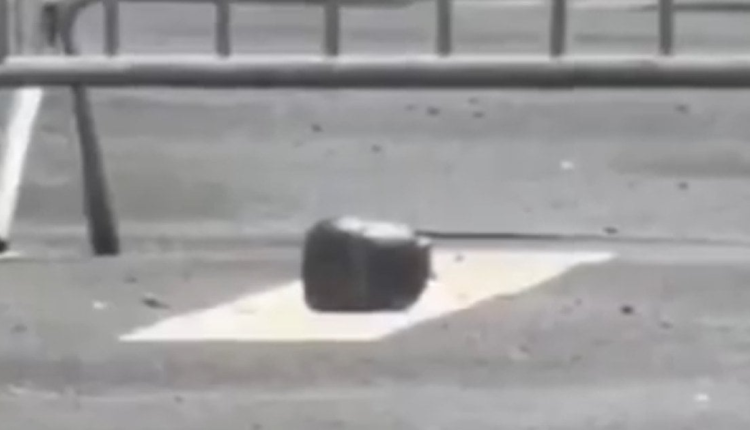 Screen shot 2026 03 07 at 7.58.22 pm 1200x630.png