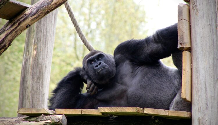 Valentin jorel Mpyn ne644Y unsplash.jpg