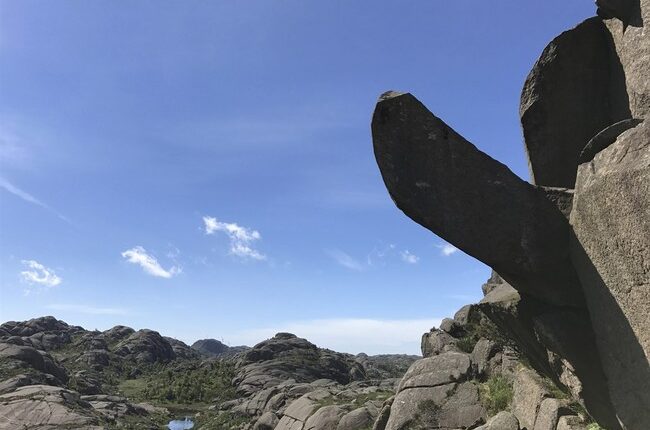 4f0db821 b367 45ca 88be e834a65304eb.jpg