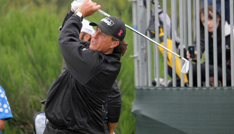 7741947952 7852e00c67 c.jpg