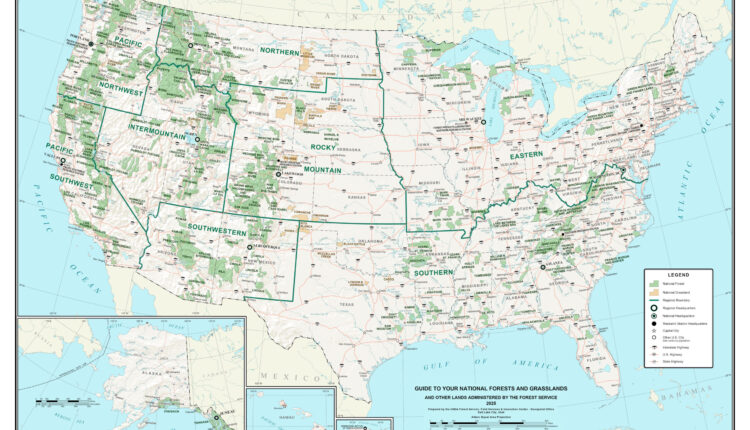 A Guide to Your National Forests scaled.jpg