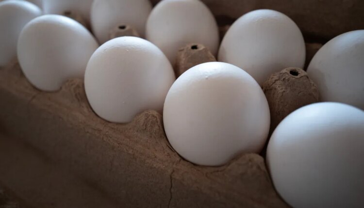 GettyImages 2204773684.jpg