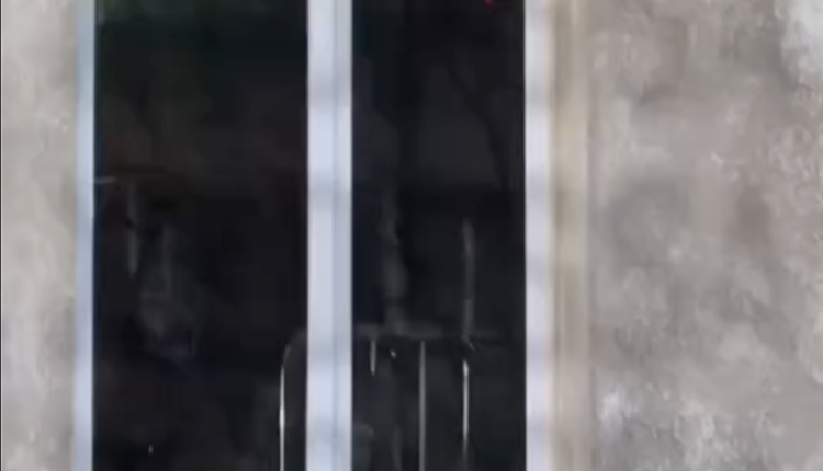 Screenshot 2026 04 28 at 8.22.07 AM.png