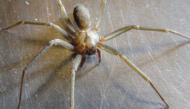 File 20260403 57 ylv18r.jpg