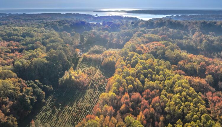 File 20260417 57 143nn2.jpg