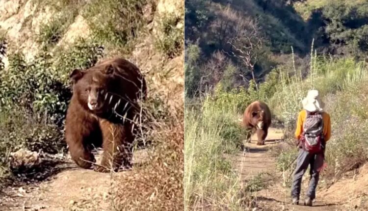 Https3A2F2Fsubstack post media.s3.amazonaws.com2Fpublic2Fimages2F5ec9b5be 5461 4e68 9738 64ffe.jpeg