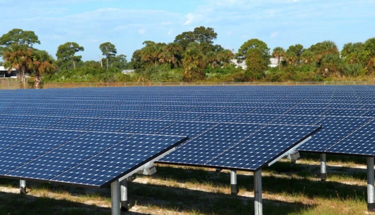 Solarfarmpanels 1 1200x675.jpg