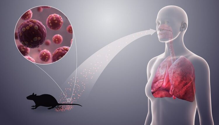 1280px hantavirus 1200x630.jpg