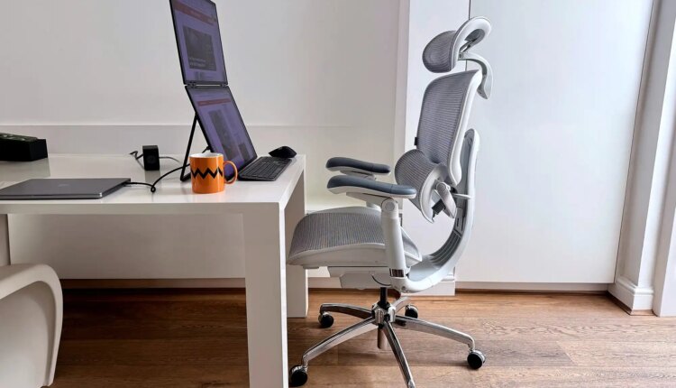 Sihoo Doro C300 Pro V2 Ergonomic Office Chair 2 1.jpg