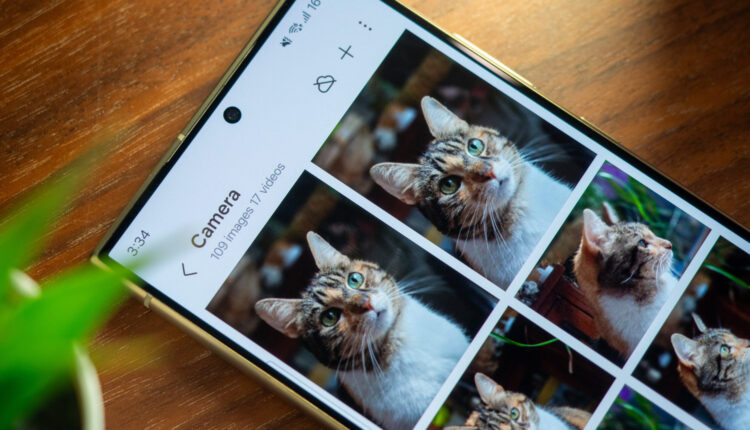 Samsung galaxy s24 ultra gallery cat pet 1 scaled.jpg