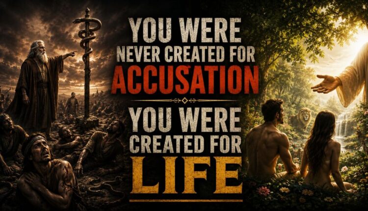 You Were Never Created For Accusation You Were Created For Life.jpg
