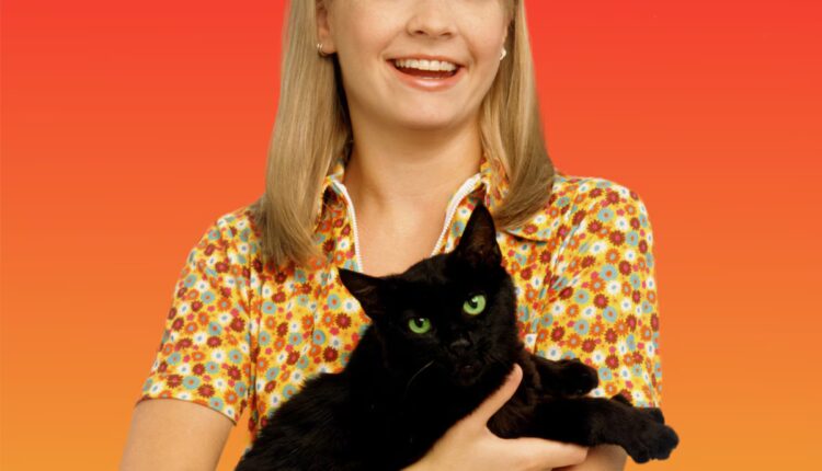Rs 1200x1200 210414055109 1200 Sabrina The Teenage Witch.jpg