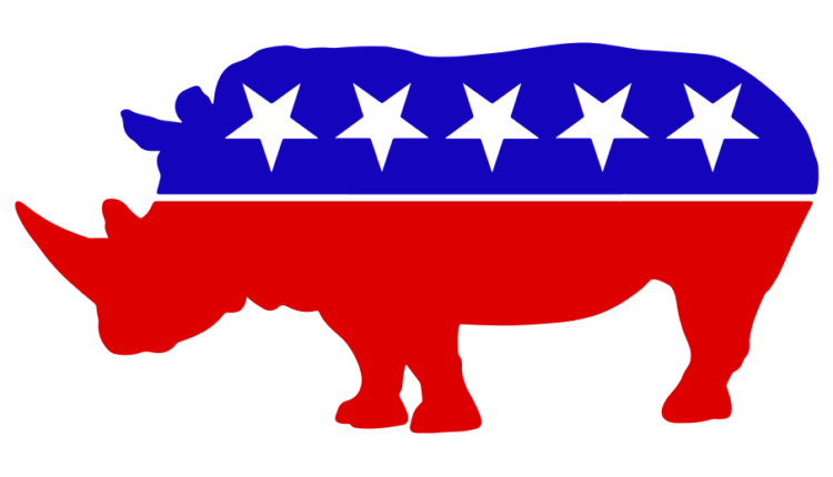 Logo RINO.svg .webp
