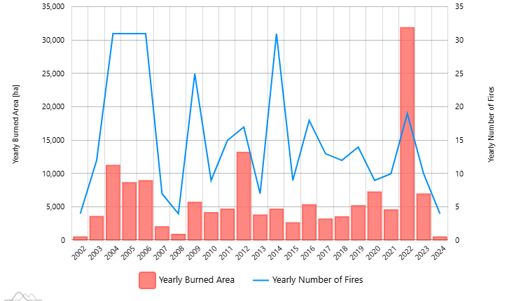 MCD64.006.yearly ba nf.2002 2024.MAR Morocco.png